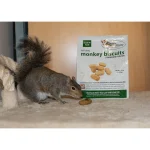 Monkey Biscuits - Image 5