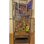 Madagascar Cage - Image 8