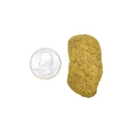 Monkey Biscuits - Image 6