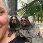 Certified marmoset guardians